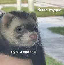 Кунавин Андрей