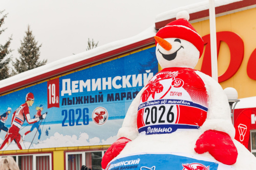Деминские спутники