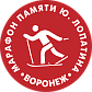 Воронежский марафон